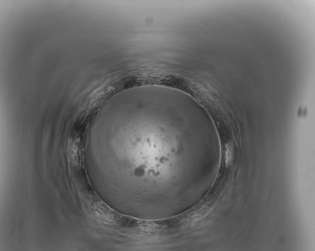 X0000089371059200706221216