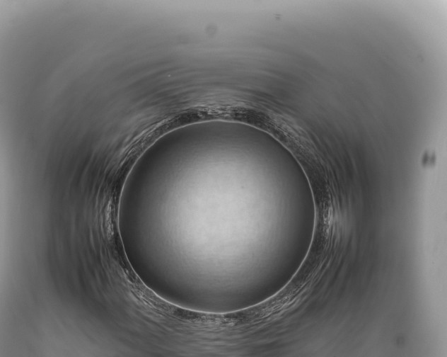 X0000089371060200706221216