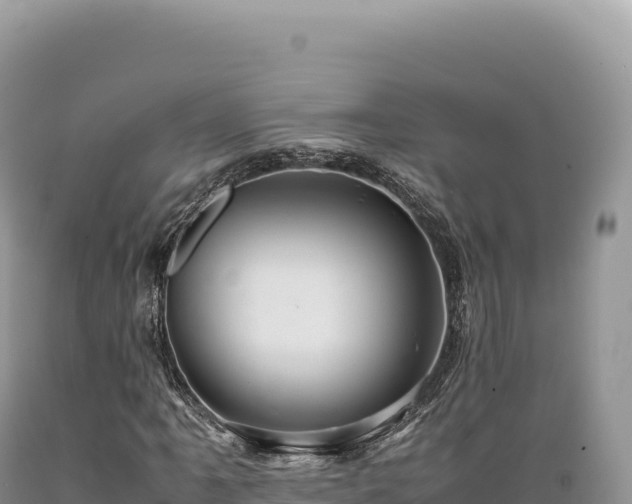 X0000089371061200706221216