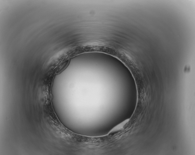 X0000089371062200706221216
