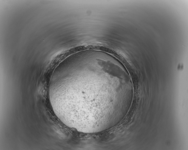 X0000089371063200706221216
