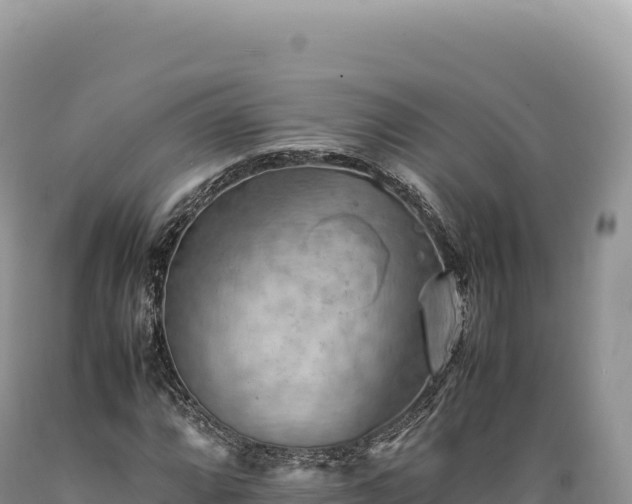 X0000089371064200706221216