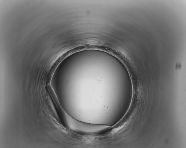 X0000089371065200706221216