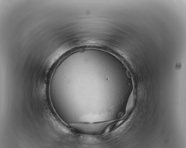 X0000089371066200706221216