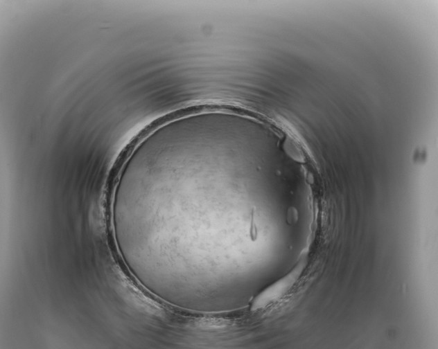 X0000089371068200706221216
