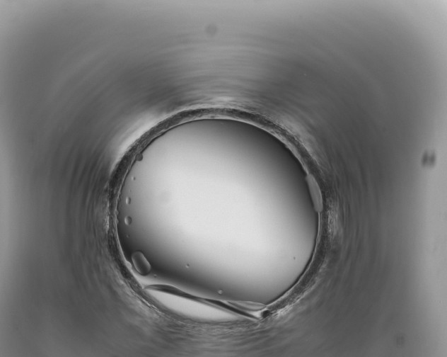 X0000089371069200706221216