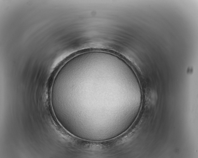 X0000089371070200706221216