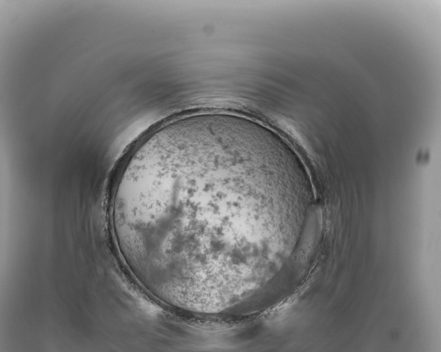 X0000089371071200706221216