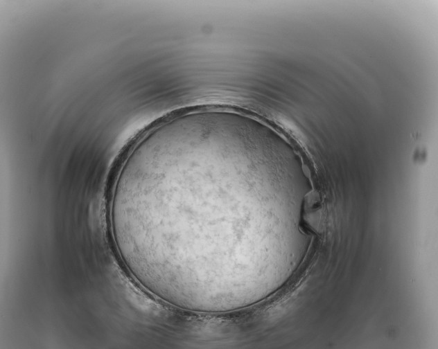 X0000089371072200706221216