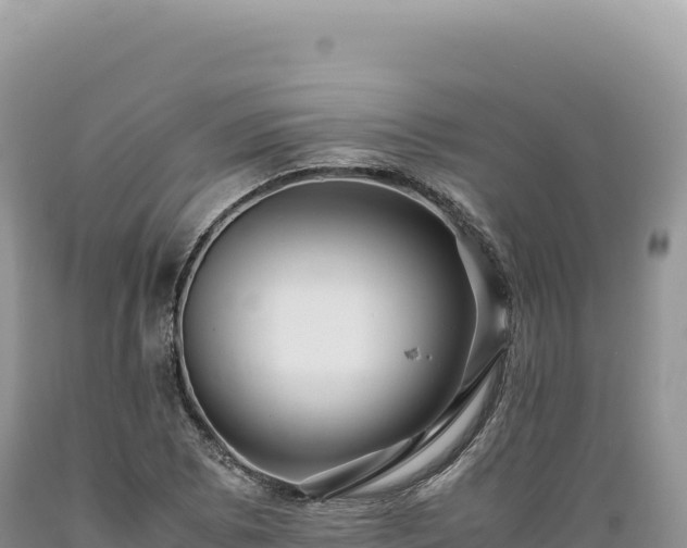 X0000089371073200706221216