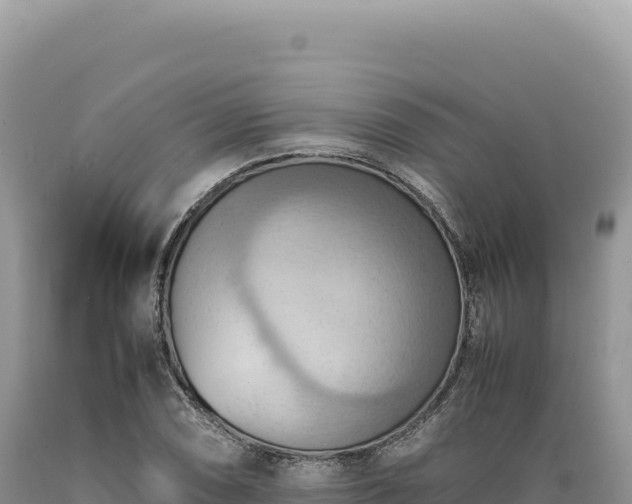 X0000089371074200706221216