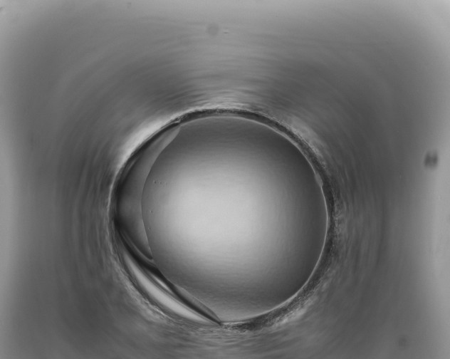X0000089371077200706221216