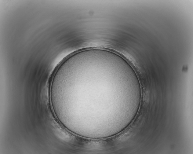 X0000089371078200706221216