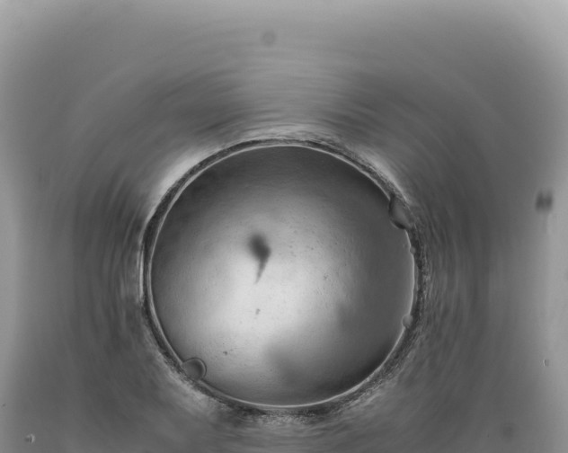 X0000089371079200706221216