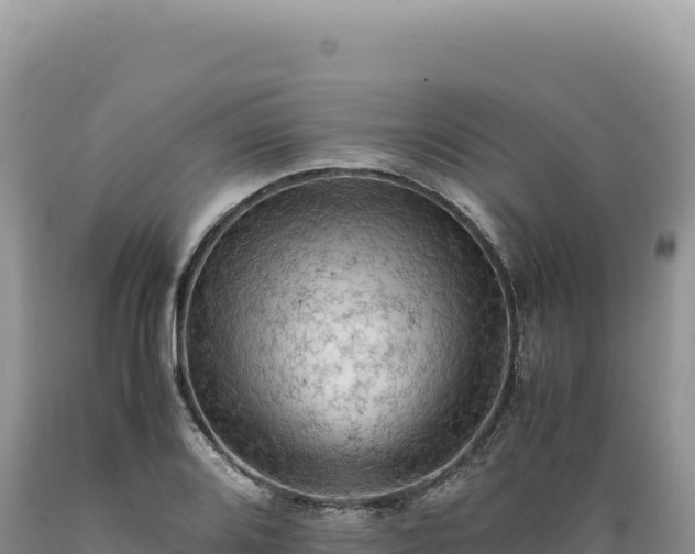 X0000089371080200706221216