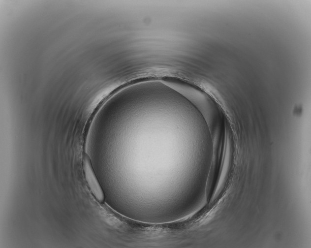 X0000089371081200706221216