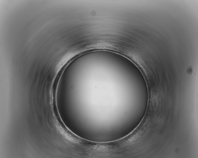 X0000089371082200706221216