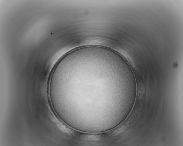 X0000089371086200706221216