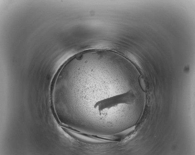 X0000089371087200706221216