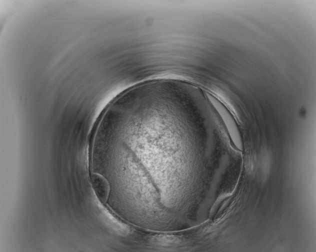 X0000089371092200706221216