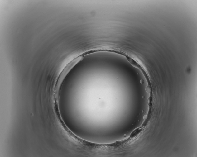 X0000089371093200706221216