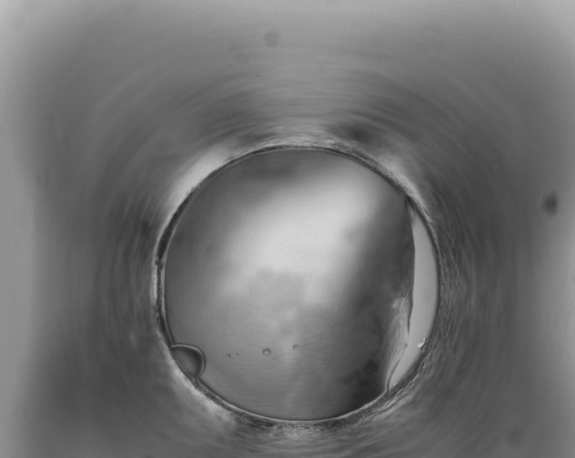 X0000089371095200706221216