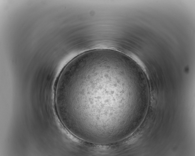 X0000089371096200706221216