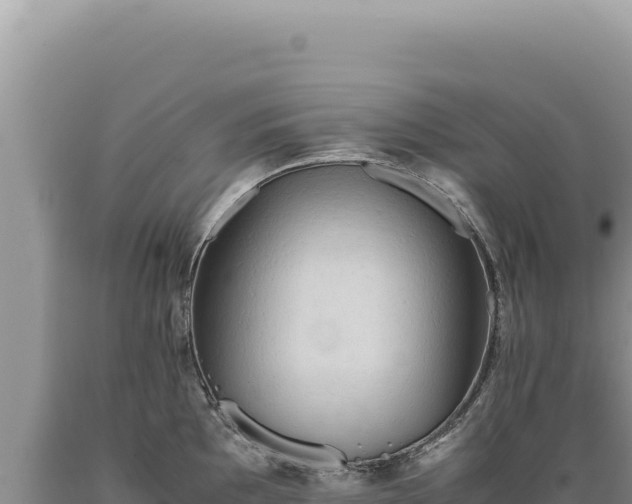 X0000089371097200706221216