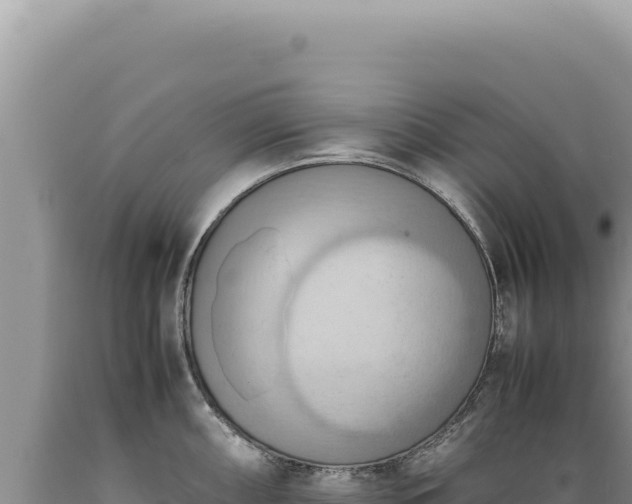 X0000089371098200706221216