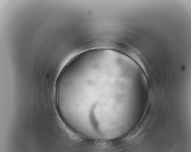 X0000089371099200706221216