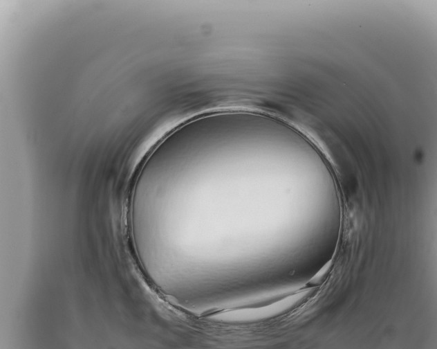 X0000089371101200706221216