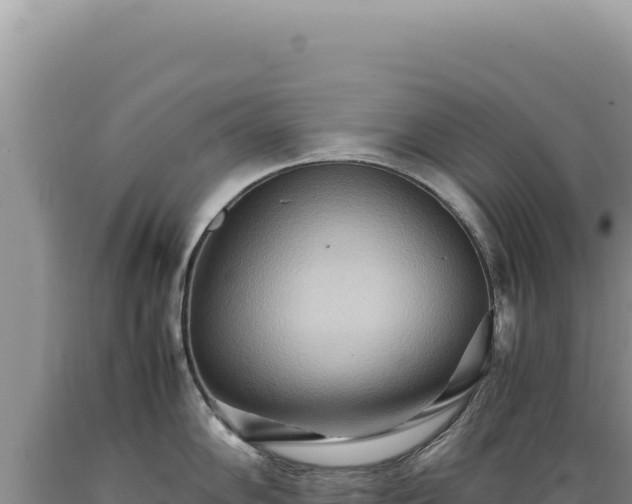 X0000089371102200706221216