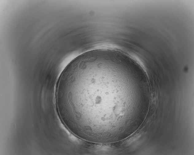 X0000089371103200706221216