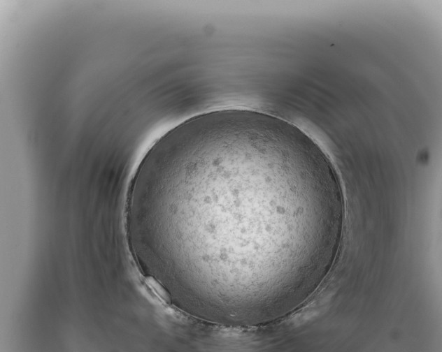 X0000089371104200706221216