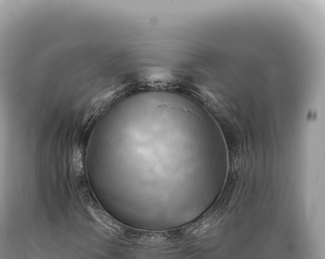 X0000089371106200706221215
