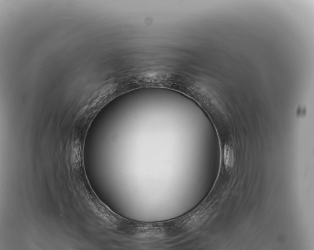 X0000089371107200706221215