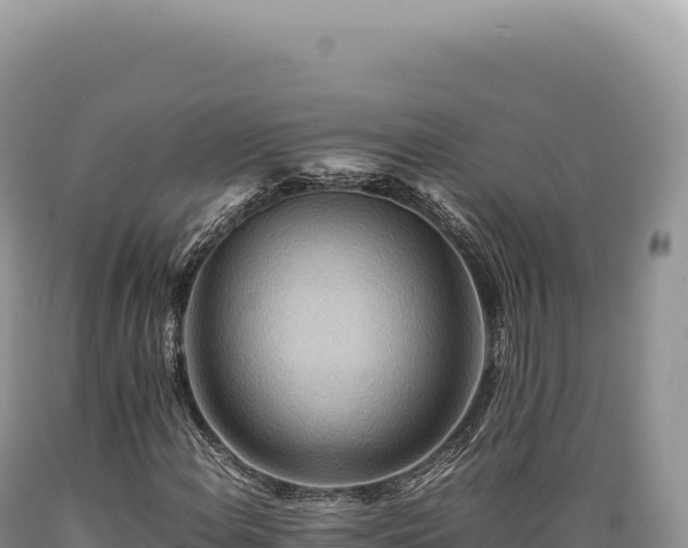 X0000089371108200706221215
