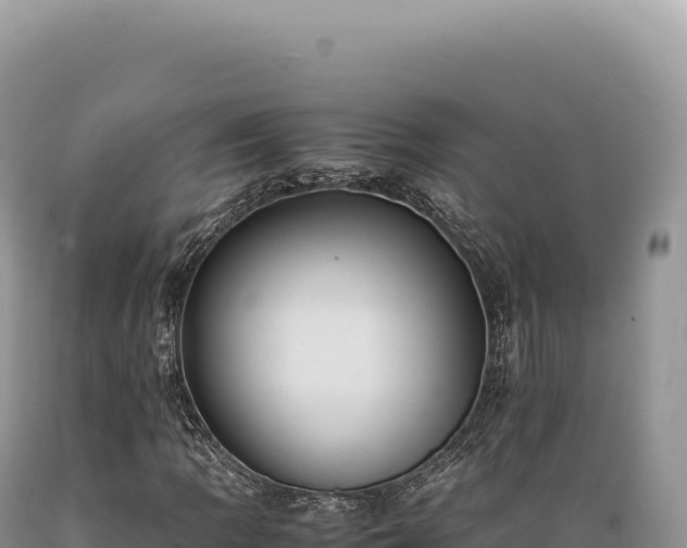 X0000089371109200706221215