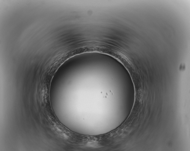 X0000089371111200706221215