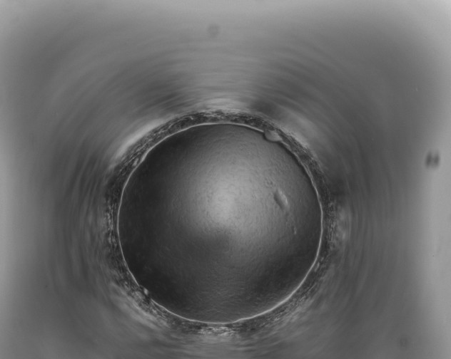 X0000089371112200706221215