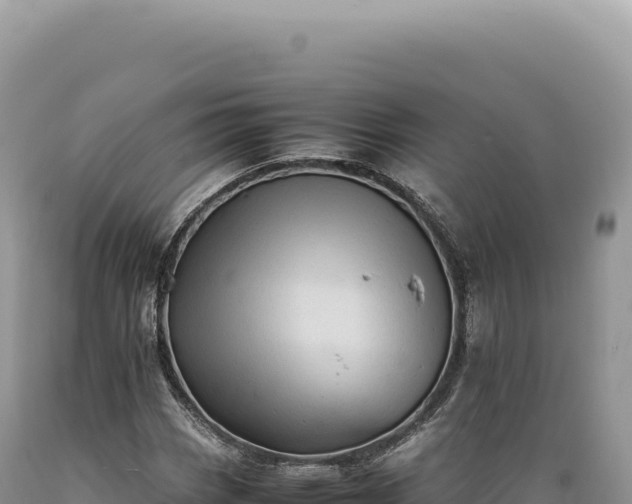 X0000089371113200706221215