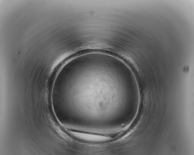 X0000089371114200706221215