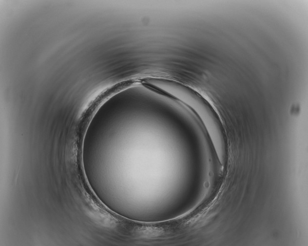 X0000089371115200706221215