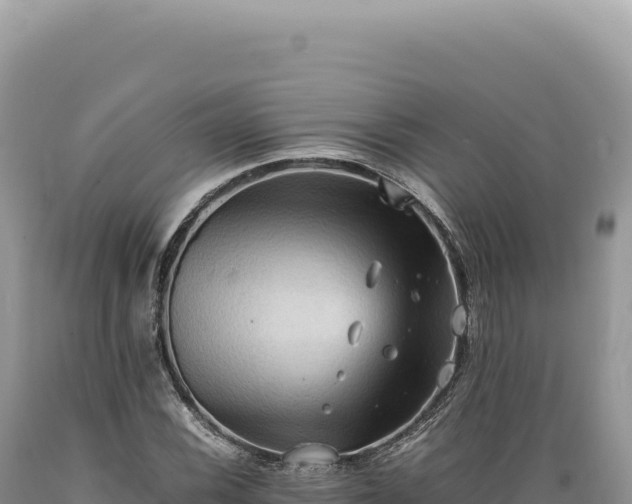 X0000089371116200706221215