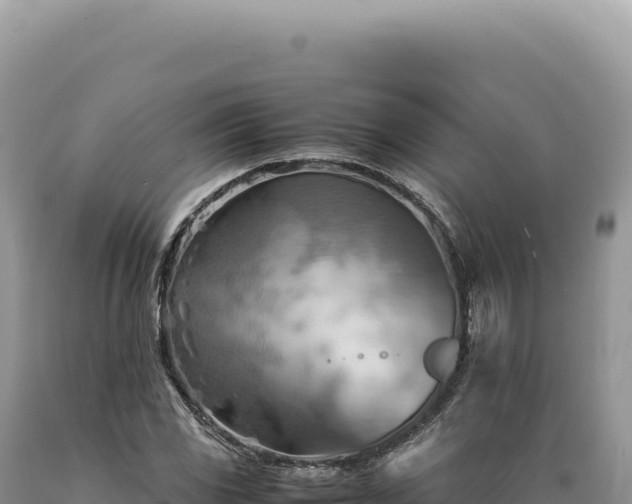 X0000089371117200706221215