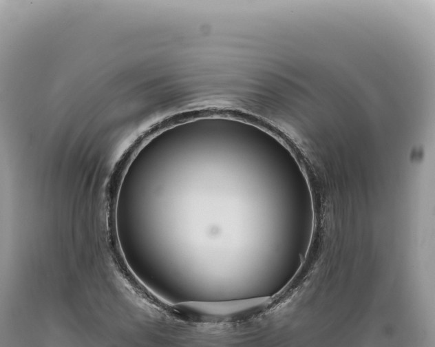 X0000089371118200706221215