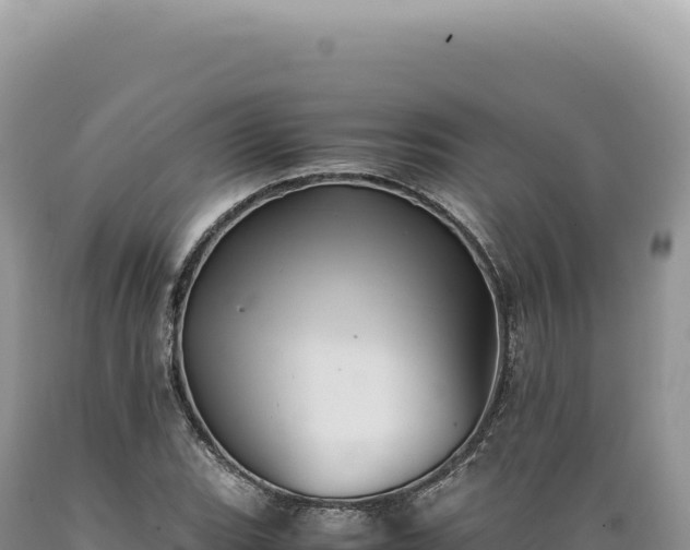 X0000089371119200706221215