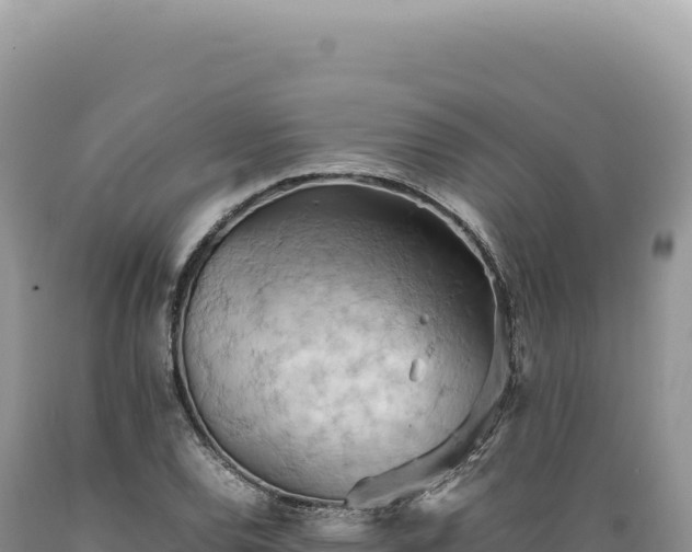 X0000089371120200706221215