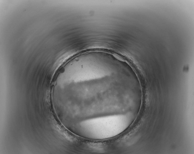 X0000089371121200706221215