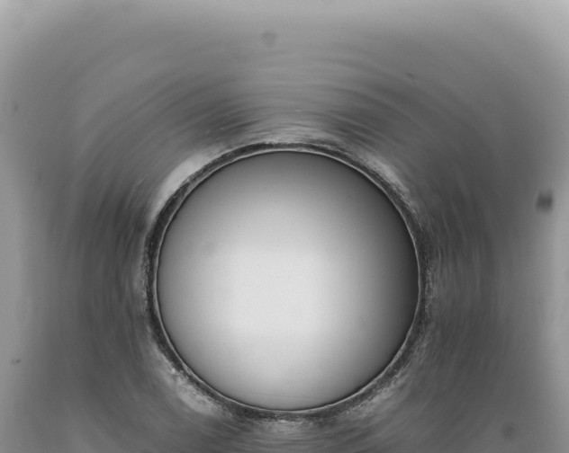 X0000089371122200706221215
